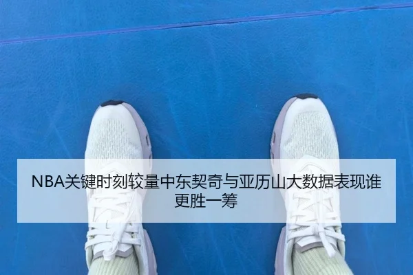 NBA关键时刻较量中东契奇与亚历山大数据表现谁更胜一筹